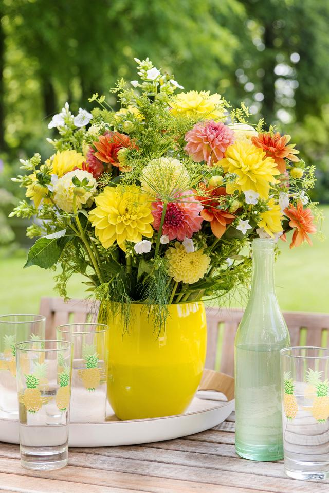 Breng de zon in huis